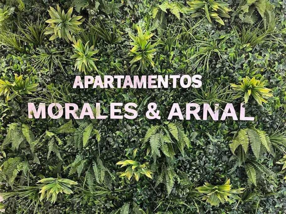 רונדה XVIII B Suite Apartamentos Morales & Arnal מראה חיצוני תמונה